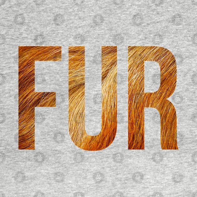 Fur by Belcordi